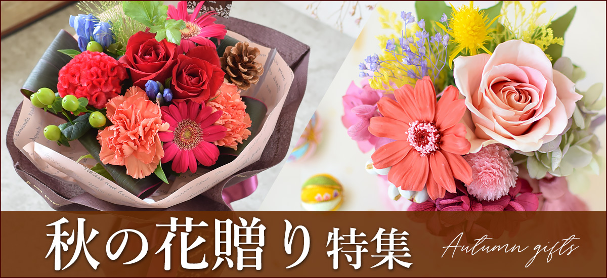 26au_bn1200x550.jpg