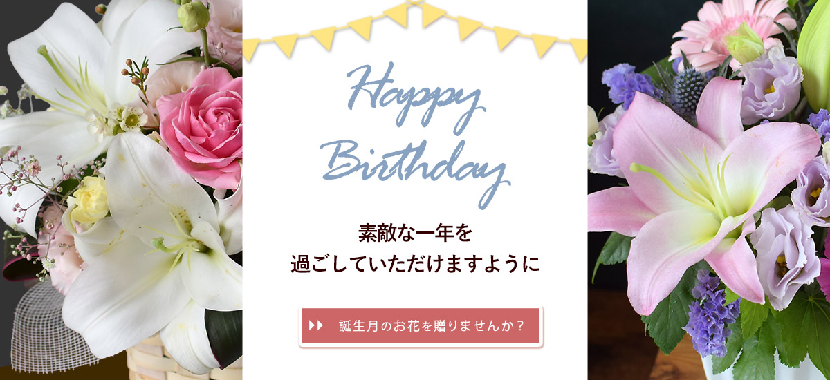 bd02_bn1200x550n.jpg