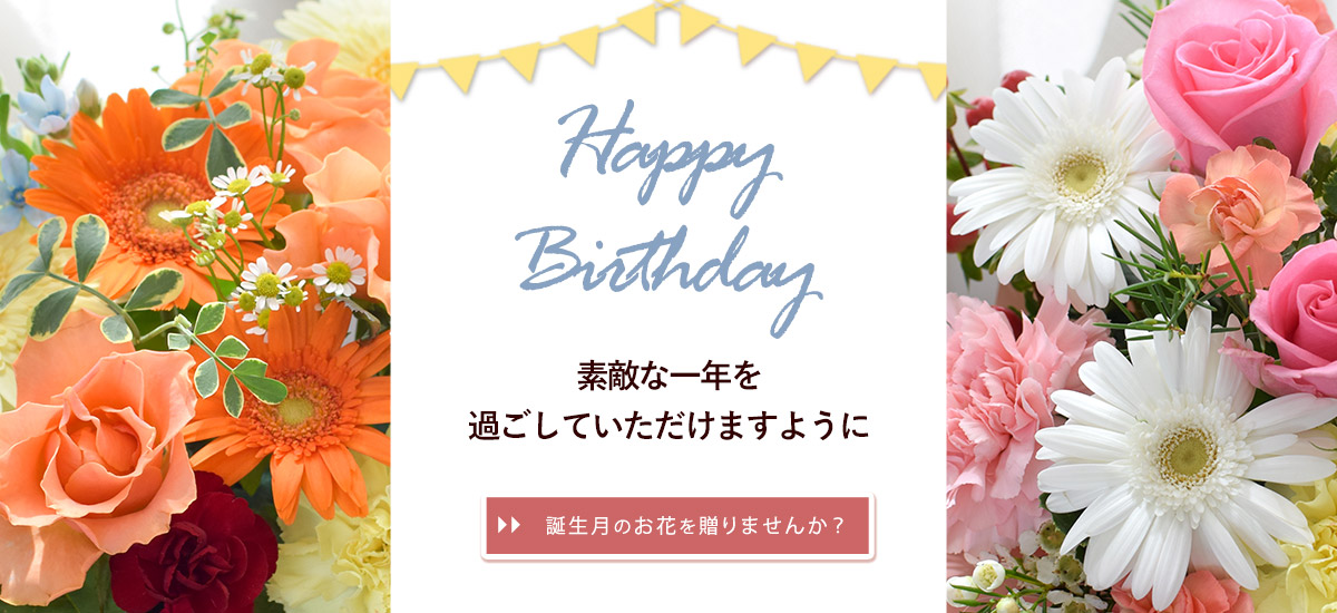 bd02_bn1200x550n.jpg