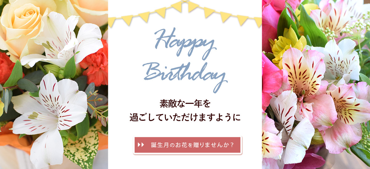 bd02_bn1200x550n.jpg