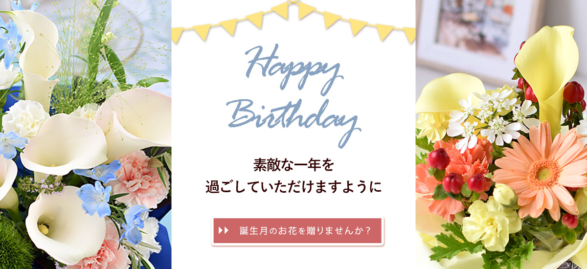 bd02_bn1200x550n.jpg