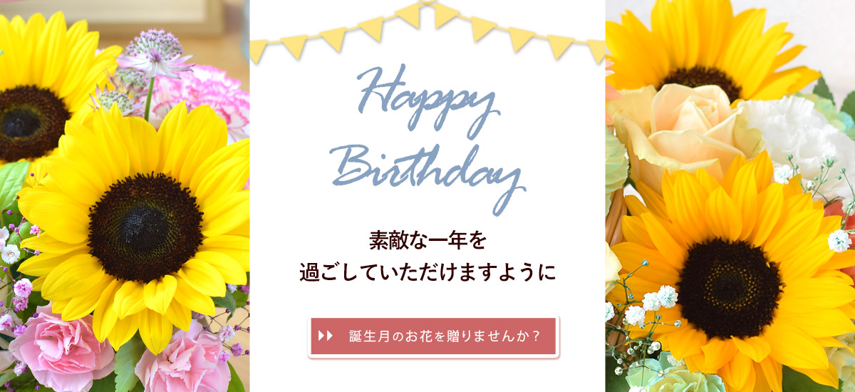 bd02_bn1200x550n.jpg