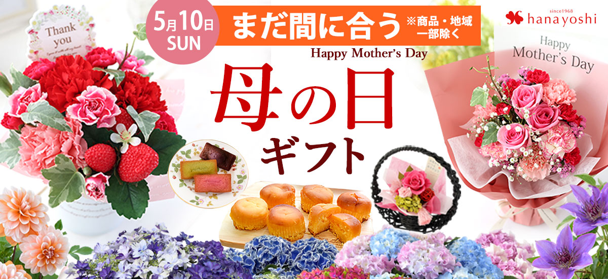 mom26t_bn1200x550.jpg