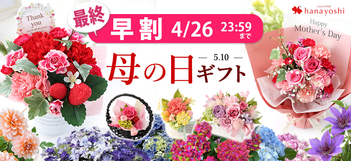 mom26t_bn1200x550.jpg