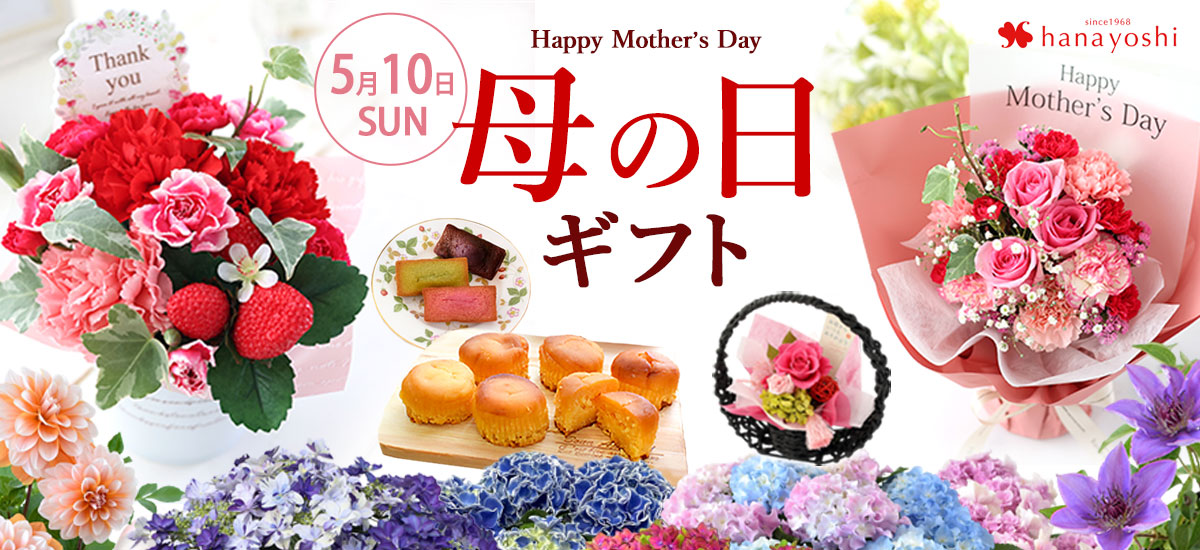 mom26t_bn1200x550.jpg