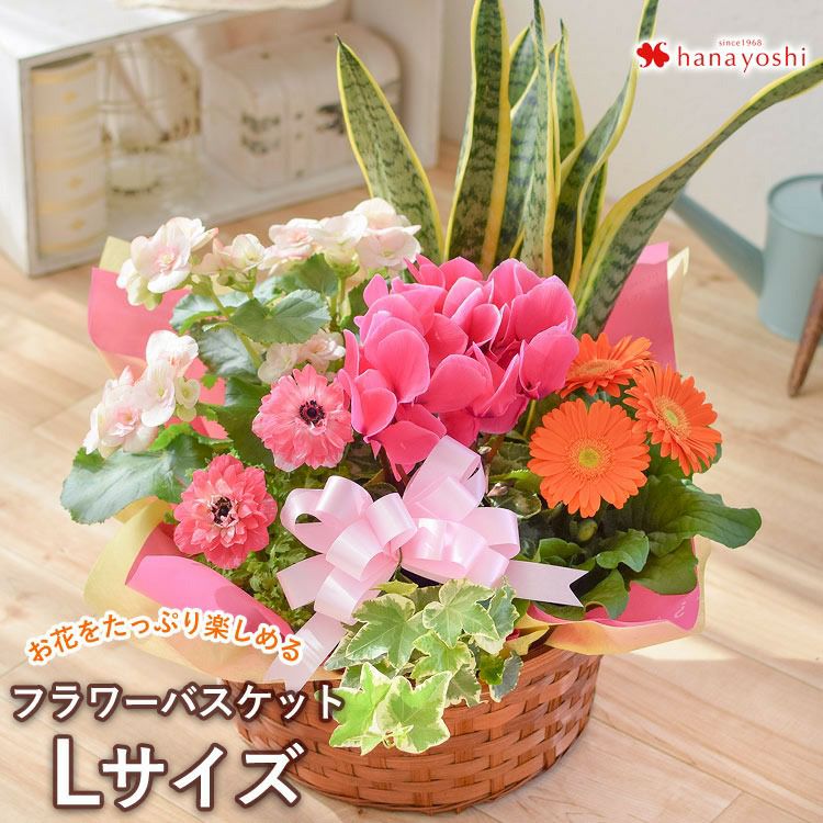 000000000015-01.jpg?size=m&w=