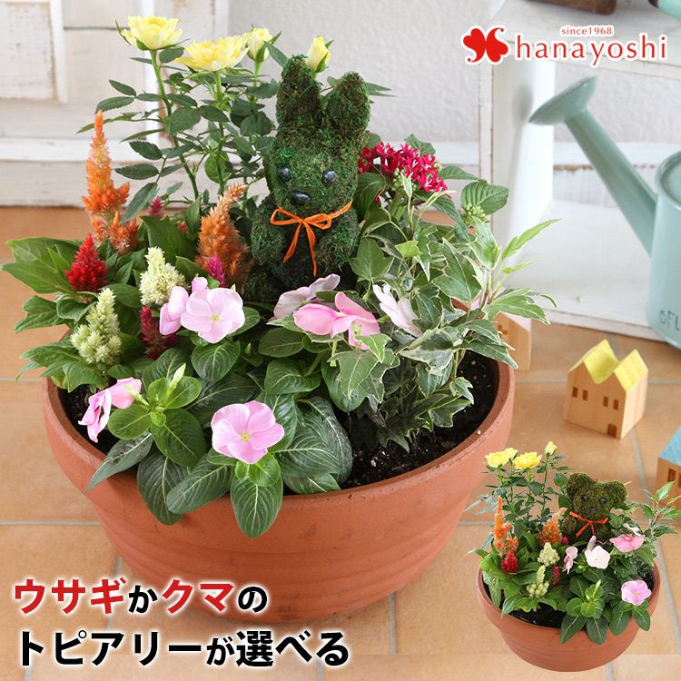 寄せ植え　花■みつばちと花畑 000000000020-01.jpg?size=l&w=