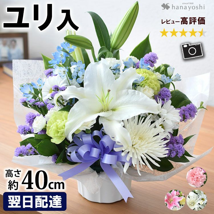 000000000022-01.jpg?size=l&w=
