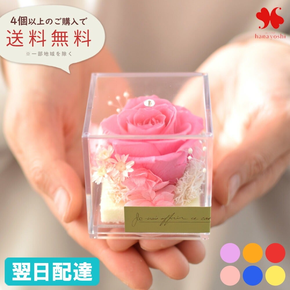 000000000064-01.jpg?size=l&w=