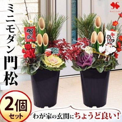 お正月 2026 一対のミニモダン 門松 12/26～12/30の間でお届け 