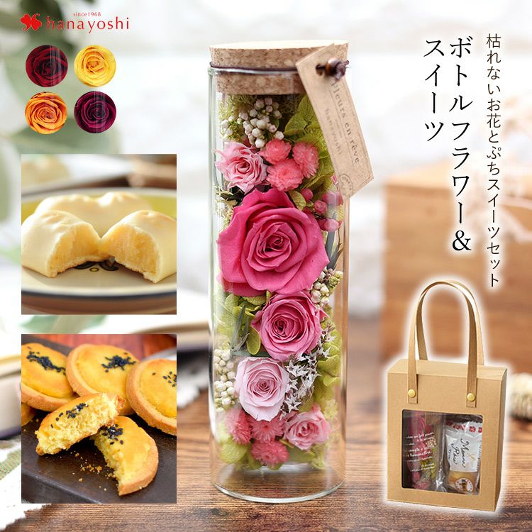 000000000492-01.jpg?size=m&w=