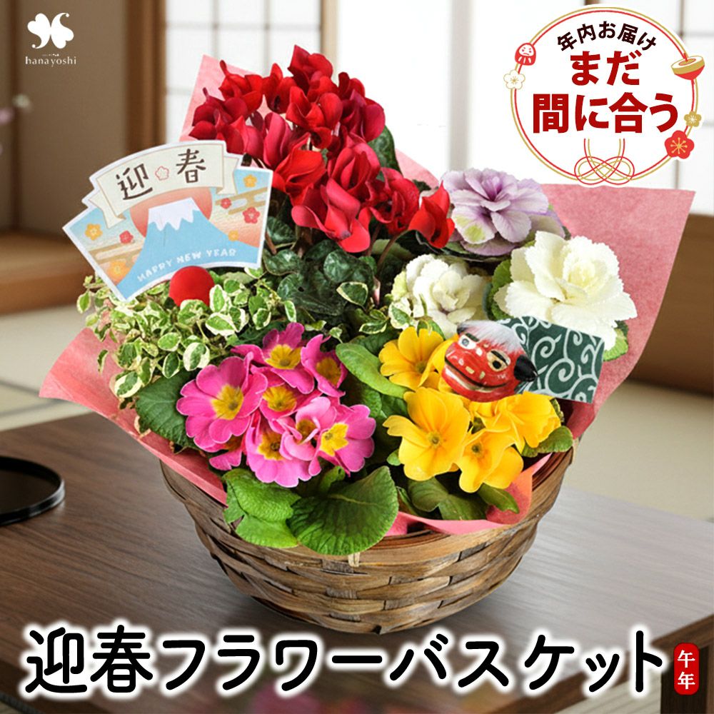 正月◎寄せ植え・鉢植え | フラワーマーケット花由公式サイト