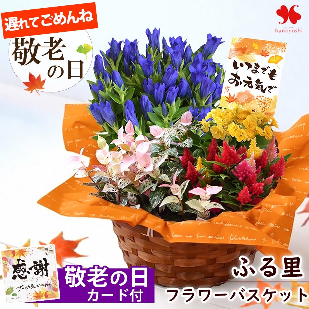 早割 敬老の日 2026 送料無料 寄せ入れ フラワーバスケット ふる里