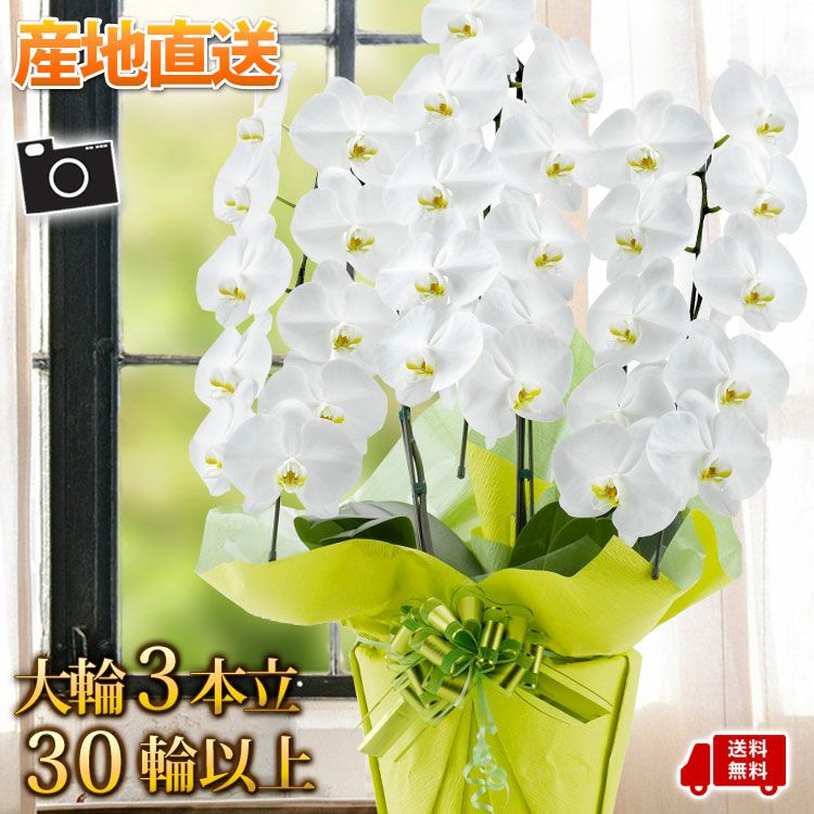 お供え プリザーブドフラワー＆アーティフィシャルフラワー 陽紫 ひさ