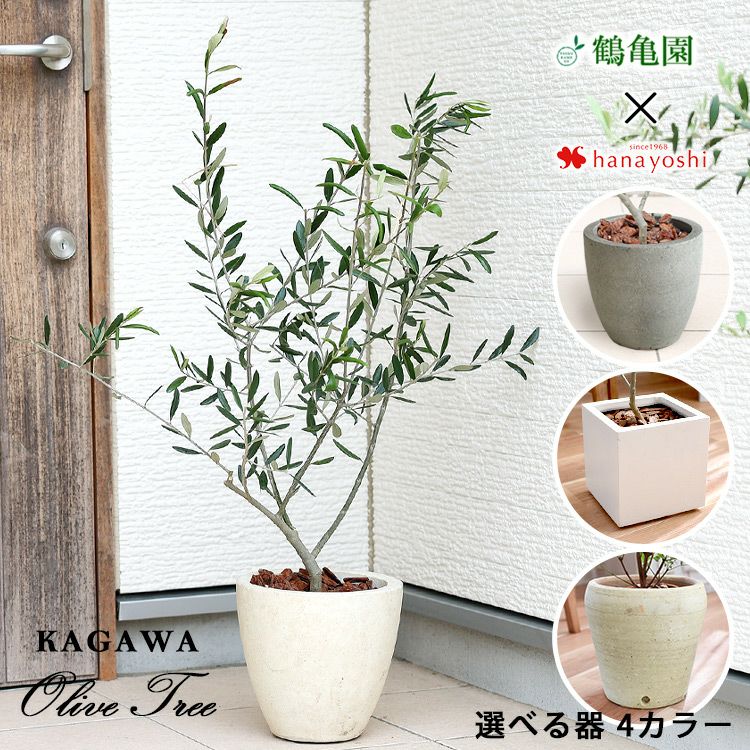 000000000829-01.jpg?size=l&w=