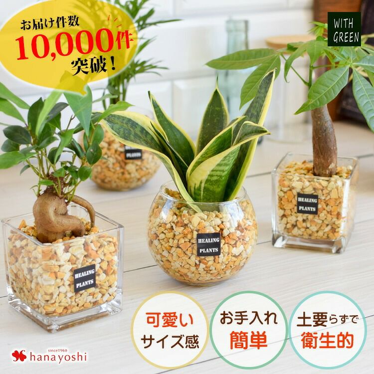 000000000832-01.jpg?size=l&w=