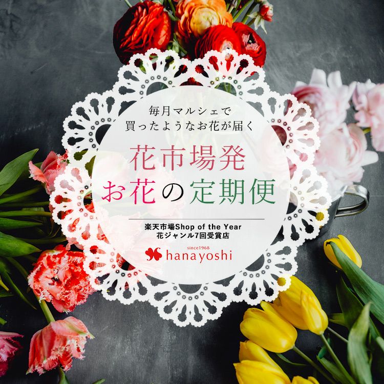 毎月届く 今が旬の花 #ときめく花マルシェ #花のある暮らし #おうち