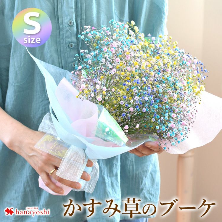 000000000850-01.jpg?size=m&w=