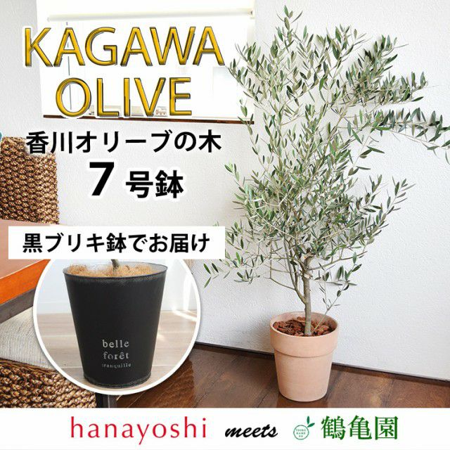 000000000912-01.jpg?size=l&w=