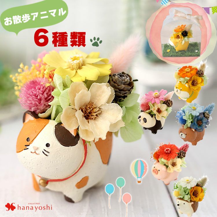 プリザーブドフラワー お散歩アニマル 6種類 猫 | フラワーマーケット