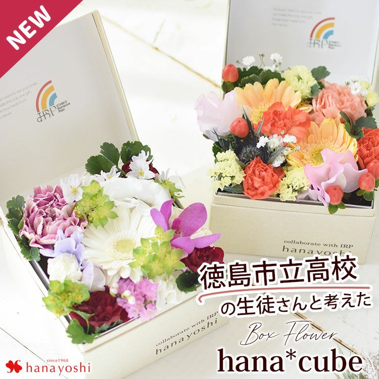 ボックスフラワー 生花 hana cube | フラワーマーケット花由公式サイト