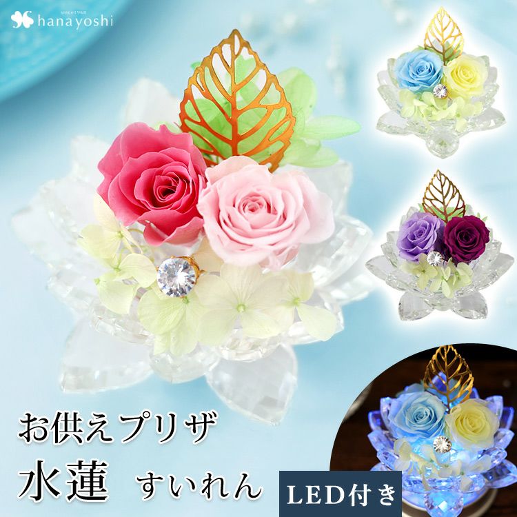 000000001140-01.jpg?size=m&w=