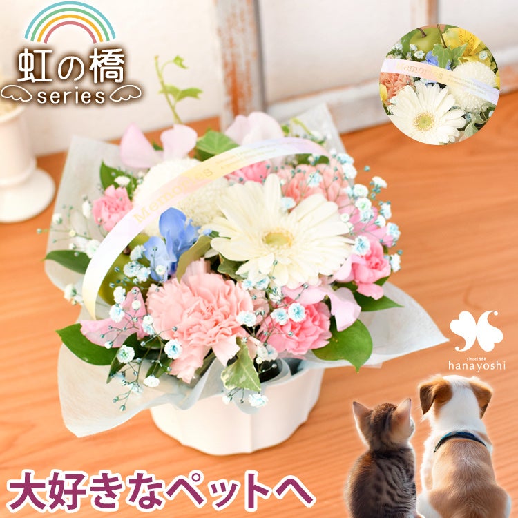 お花にプラスワン】 ヴィタロゼア サブレ 5枚入り ※お菓子のみの購入は