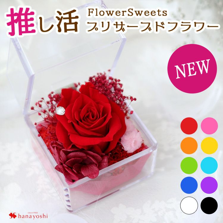 むーさん/一花推し！！　様　８ボックス 000000001149-01.jpg?size=l&w=