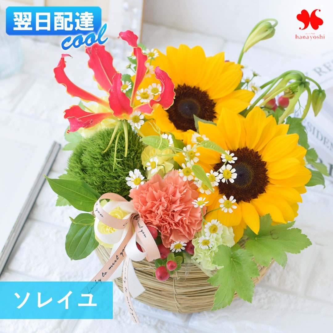 冷蔵便]でお届け 季節のおまかせ 生花アレンジ ルミナス 夏ver