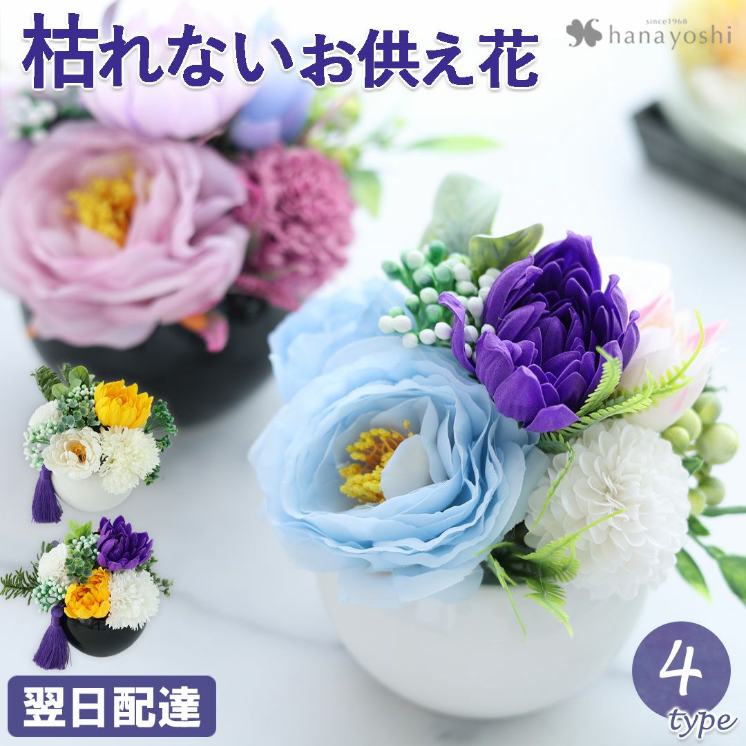 000000001259-01.jpg?size=m&w=