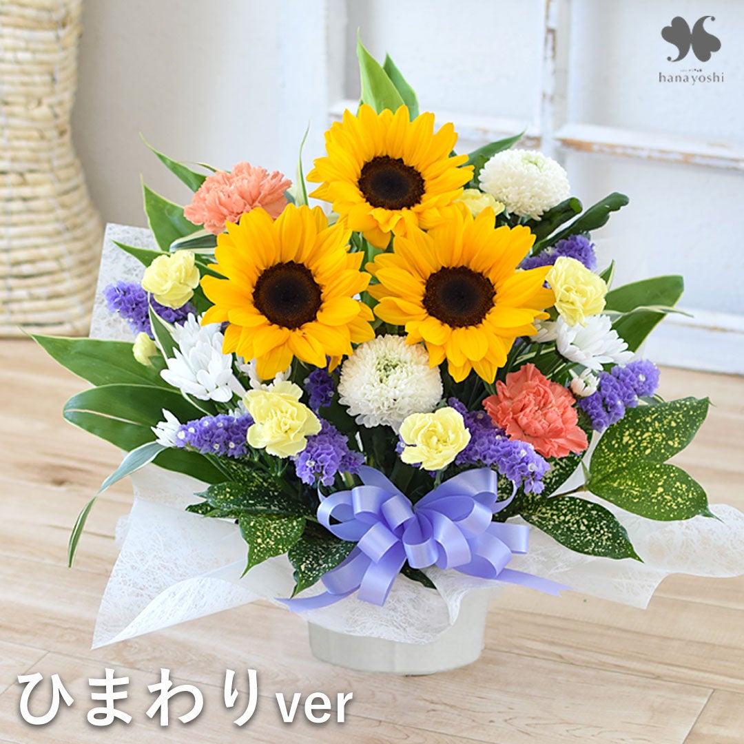 シンボルツリーの寄せ植え 鶴亀園オリーブ ＜モダンスクエア鉢でお届け