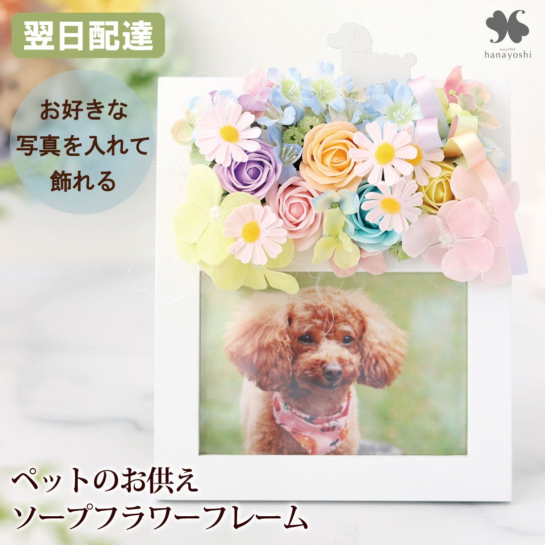 商品一覧 | フラワーマーケット花由公式サイト